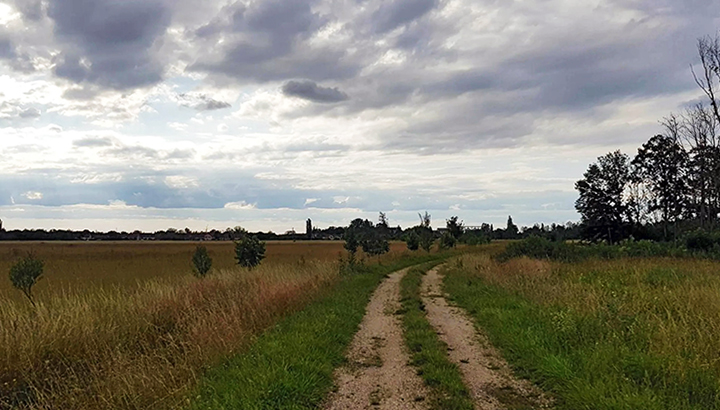Conférence : Le petit peuple de l'Ignon